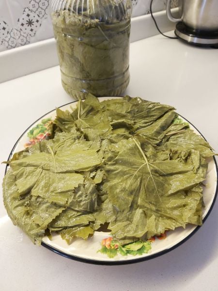 SALAMURA YAPRAK ( 2'li Kampanya)